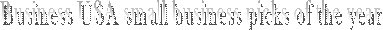 Business USA small business pick of the year
